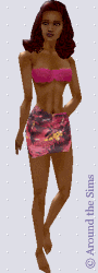 Around the Sims