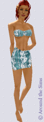 Around the Sims