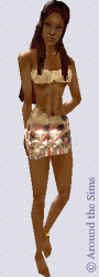 Around the Sims