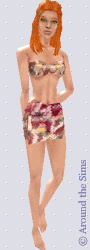 Around the Sims