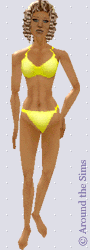 Around the Sims