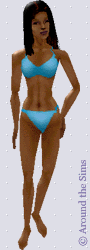 Around the Sims