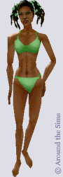 Around the Sims