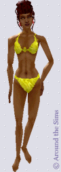 Around the Sims