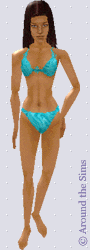 Around the Sims