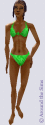 Around the Sims