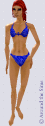 Around the Sims