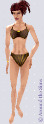 Around the Sims