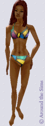 Around the Sims