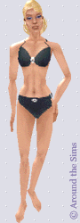 Around the Sims