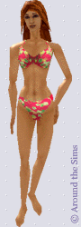 Around the Sims