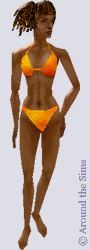 Around the Sims
