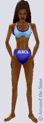 Around the Sims