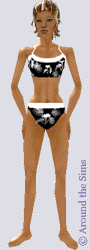 Around the Sims