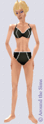 Around the Sims
