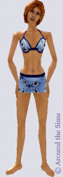 Around the Sims