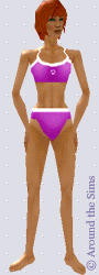 Around the Sims