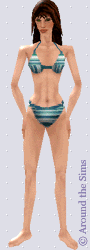 Around the Sims