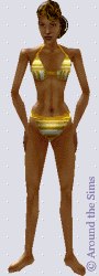 Around the Sims