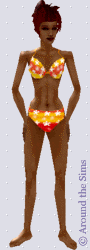 Around the Sims