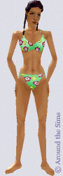 Around the Sims