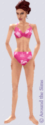 Around the Sims