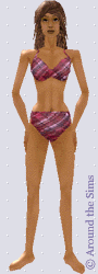 Around the Sims