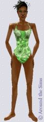 Around the Sims