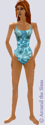Around the Sims