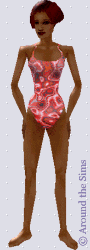 Around the Sims