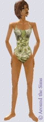Around the Sims