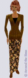 Around the Sims