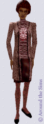 Around the Sims