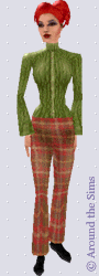 Around the Sims