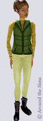 Around the Sims