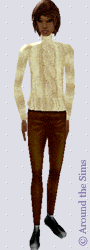 Around the Sims