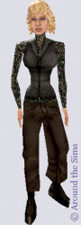 Around the Sims
