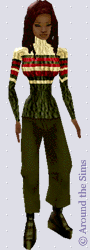 Around the Sims