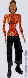 Around the Sims