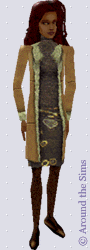 Around the Sims