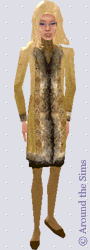 Around the Sims