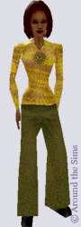 Around the Sims